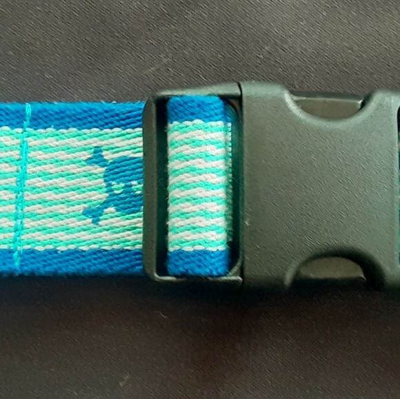 Skulls Dog Collar - Picture 1 of 2